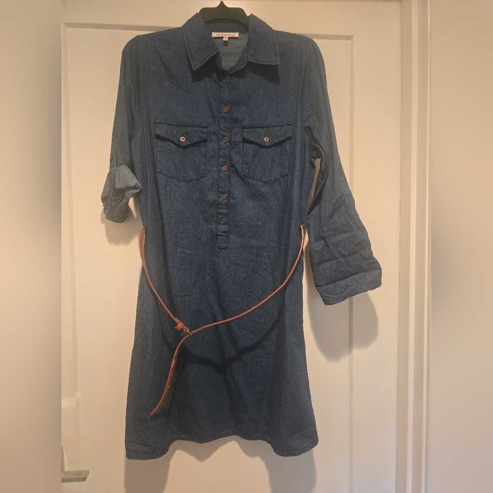 Speed Control Blue and Brown Buttoned Polo Collar Dress